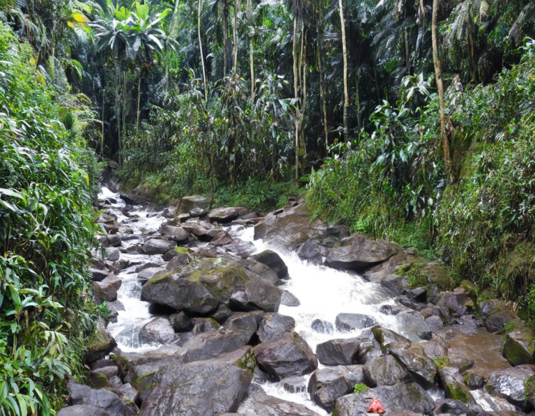 Rute Menuju Air Terjun Benang Kelambu