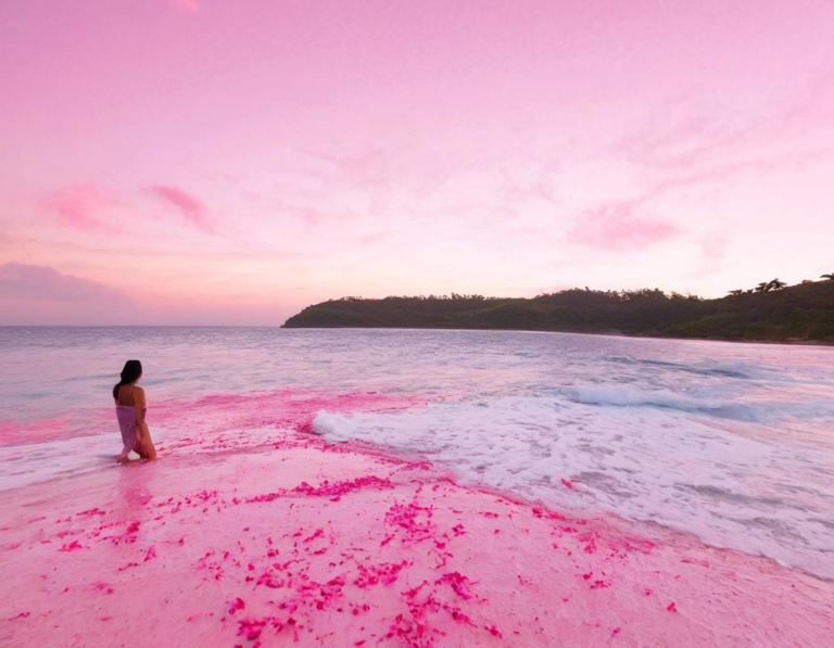 Tips Liburan ke Pantai Pink di Lombok Timur